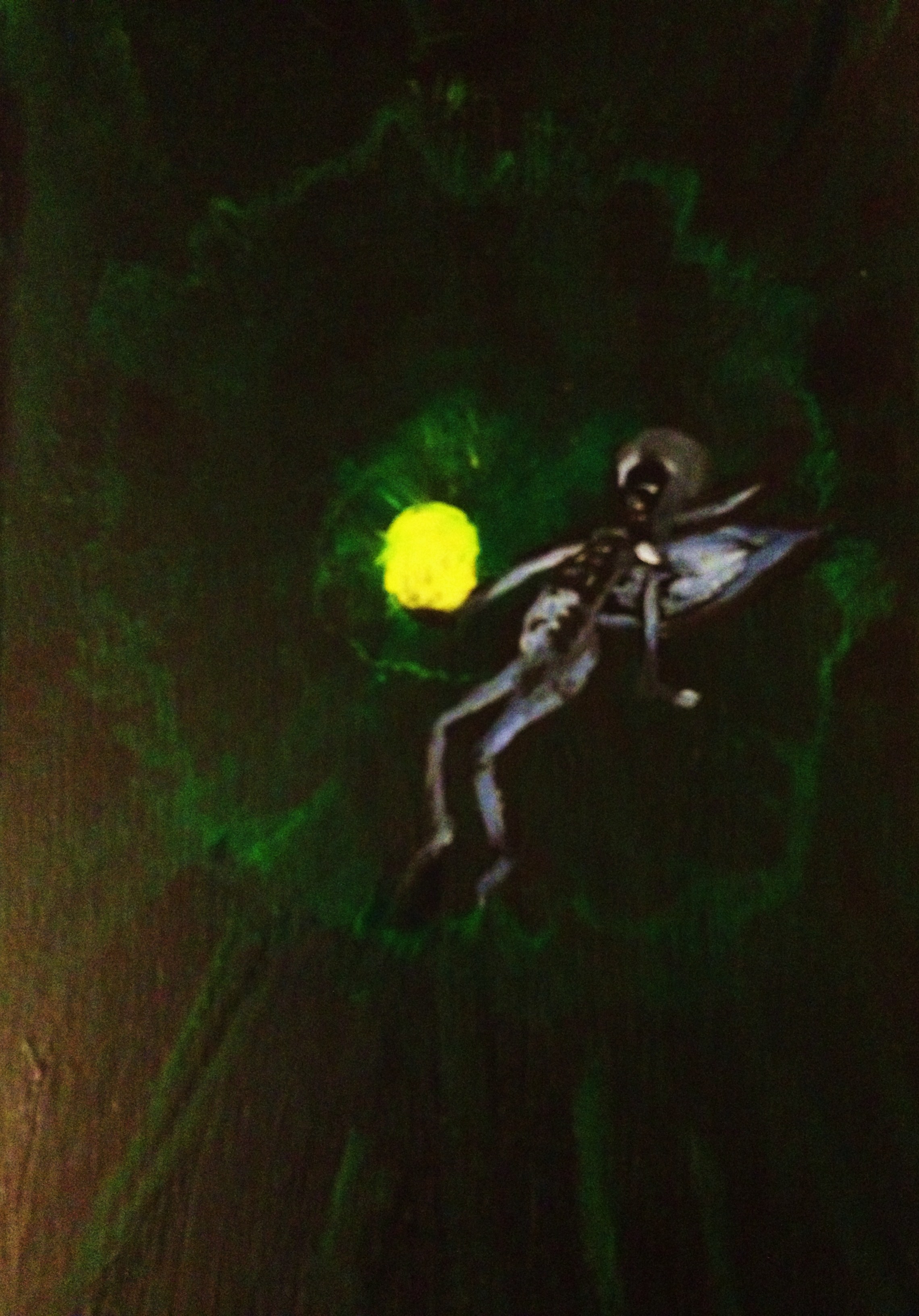 More recent paintings