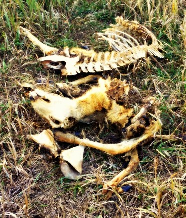 Life without death is no life worth living.