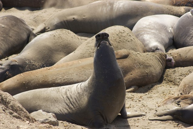 Still establishing who is boss