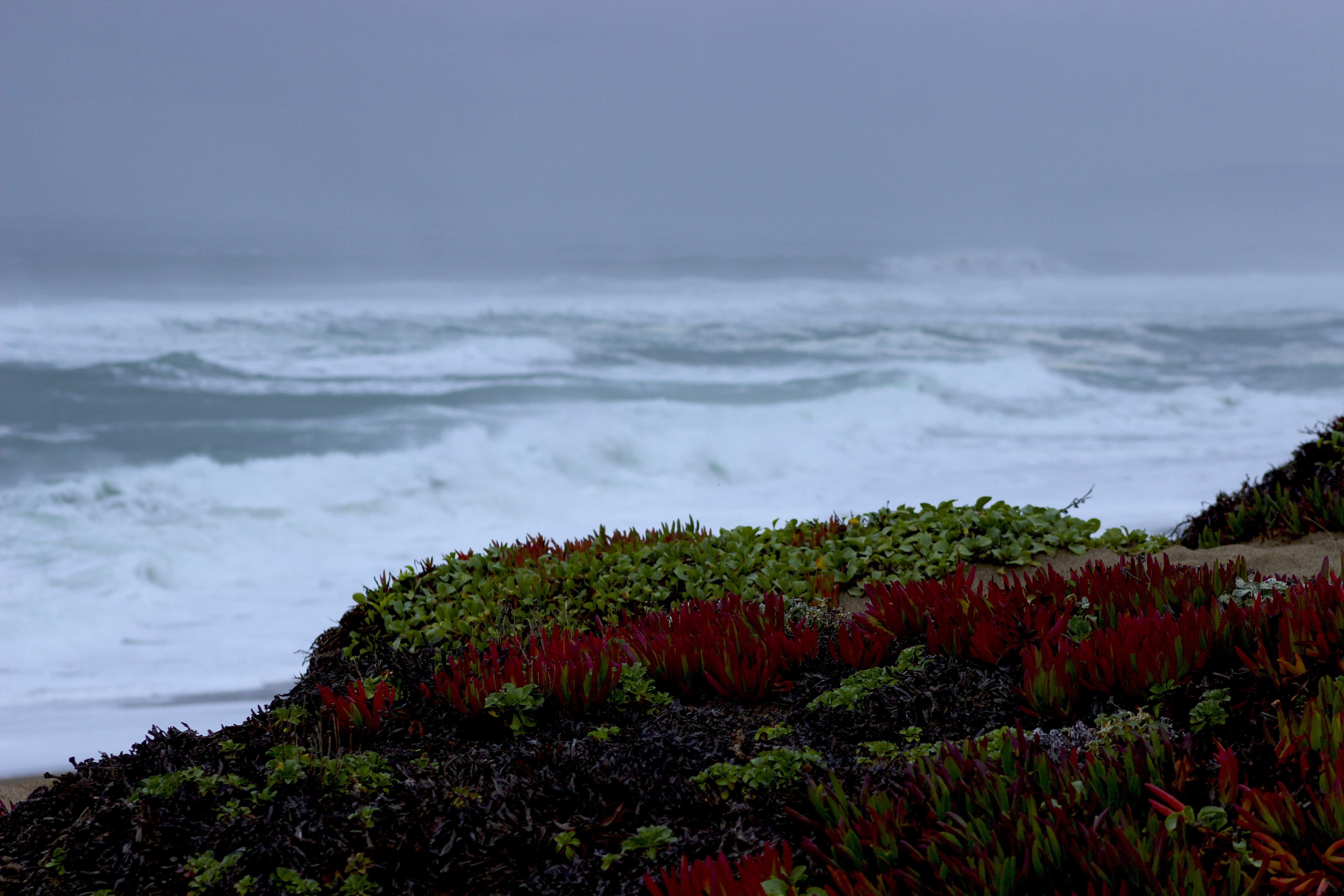 Norcal stormy beach
