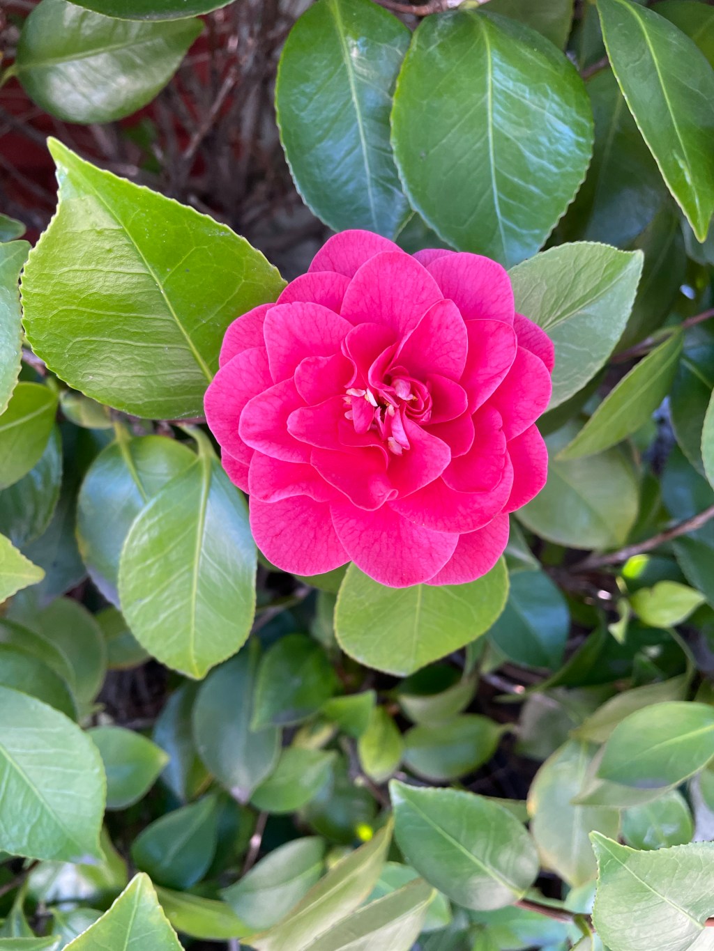 Philosophy for Millennial’s- Force, Working hard, and&nbsp;What-ifs