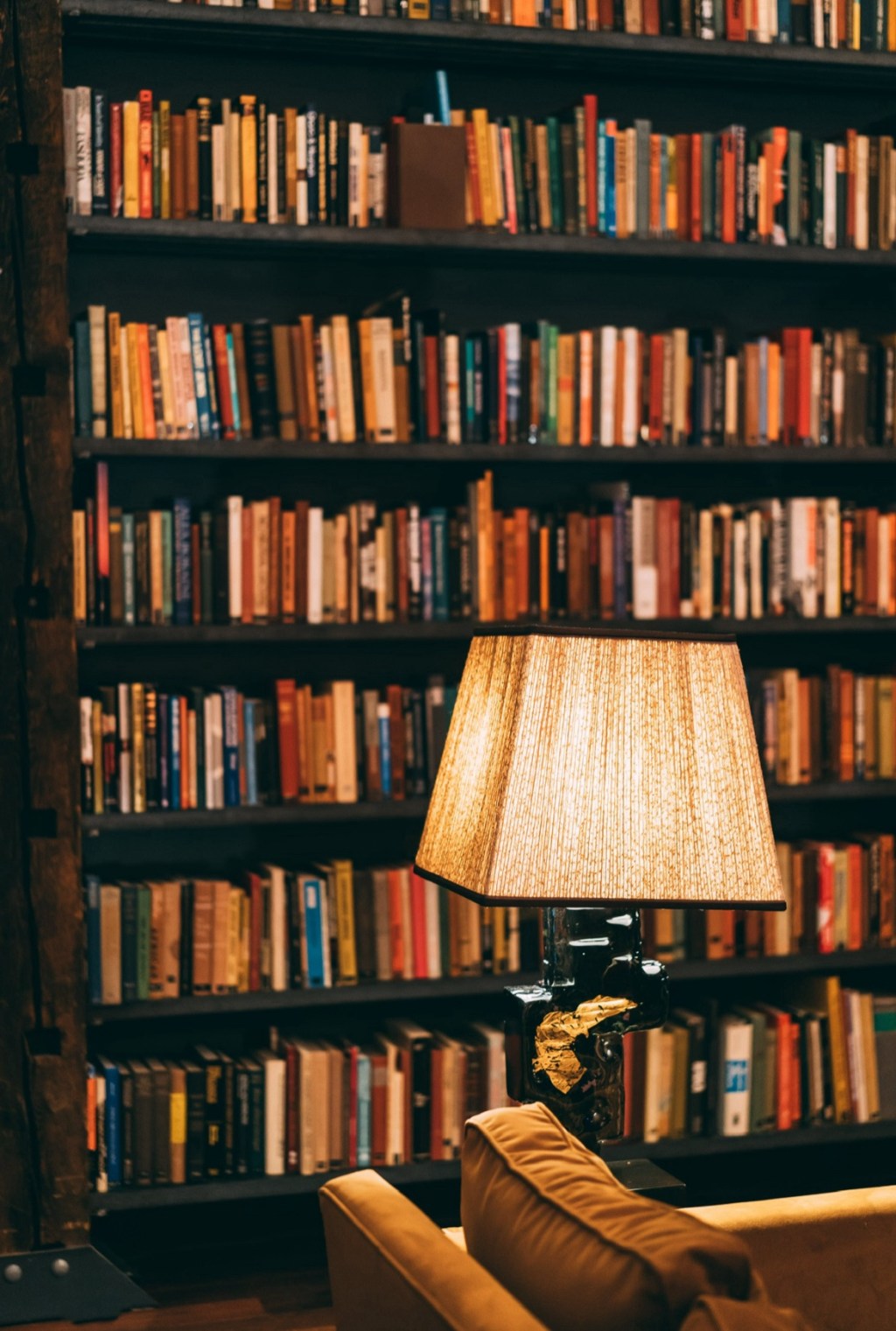 The Resurrection of our Public Library System + How to use it to its&nbsp;Fullest!