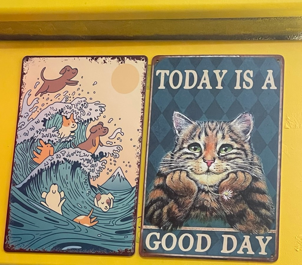 Leadership and Medicine in the United&nbsp;States