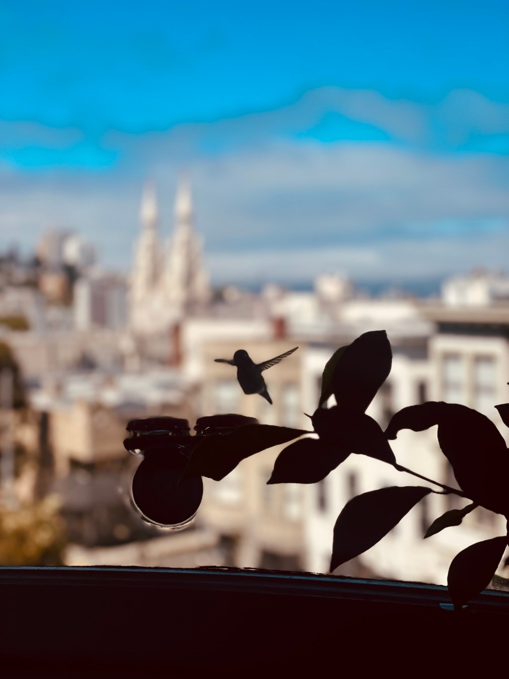 The Hummingbirds: A Short&nbsp;Story