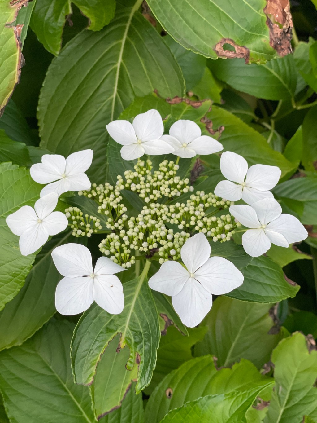 Morning thoughts on Time + the Force of&nbsp;Life